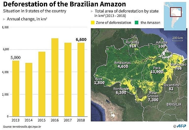 tropical forest the size of england destroyed in 2018 report
