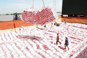 Rice stocks not a cause for concern