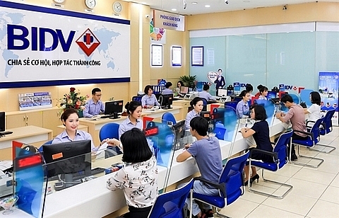 vn index witnesses largest one day gain in 19 years