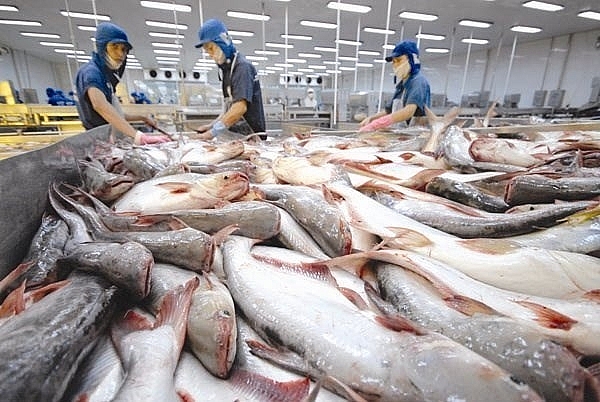 tra fish exports to us china rise in march