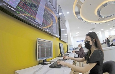 vn index surges over 14 points on blue chip stocks