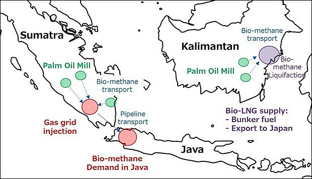 Indonesia to partner with Japan to produce biofuel from palm oil methane