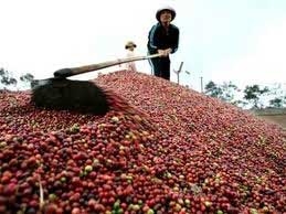 Foreign coffee firms stir the pot