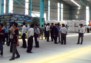 hong kong invested greenfeed puts dong nai factory online