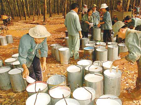 Vietnamese rubber exports to hit $3billion