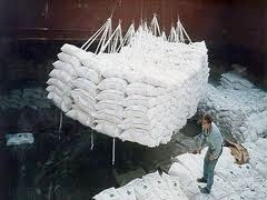 Sugar firms sweet on exports