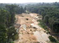 File photo of an area devastated by clandestine gold mining in the Jamanxim National Forest, state of Para, in northern Brazil. A new gold rush is sweeping through Latin America with devastating consequences, ravaging tropical forests and dumping toxic chemicals as illegal miners fight against big international projects.