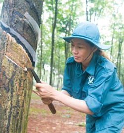Firms bend over to enter rubber world