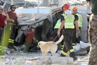 Death toll rises to 16 in quake-struck Italy