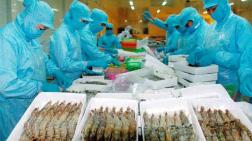 us imposes anti subsidy tariff on vietnamese frozen shrimp