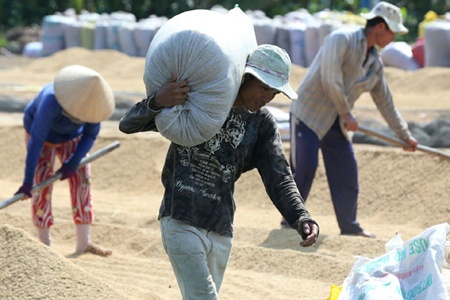 mekong delta agriculture fails to live up to potential