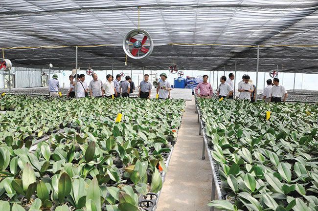 hi tech agriculture a growing trend