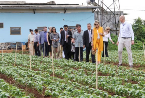 dutch queen visits farmers businesses in lam dong