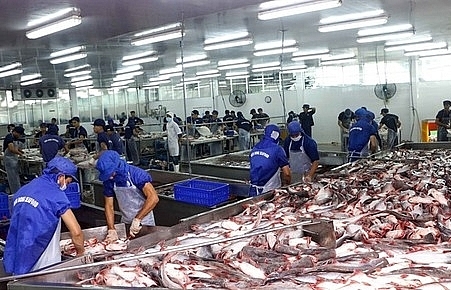 Tra fish industry facing dangerous situation, warn experts