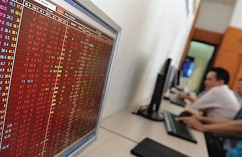 vn stocks plummet insurance stocks hit hard