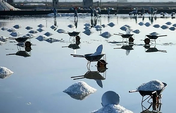 mineral misery vietnam salt farmers battered by imports climate