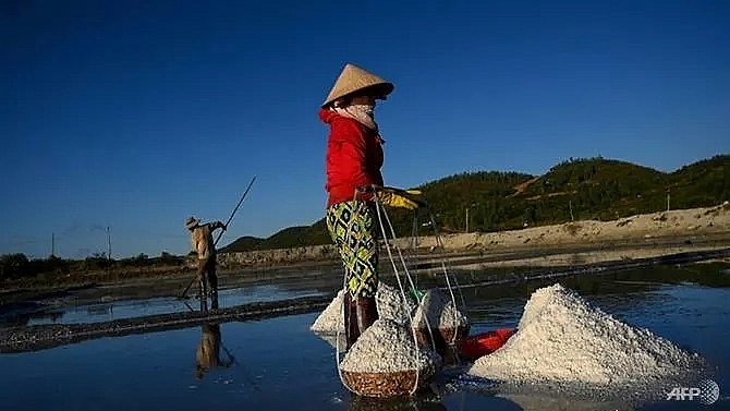 mineral misery vietnam salt farmers battered by imports climate