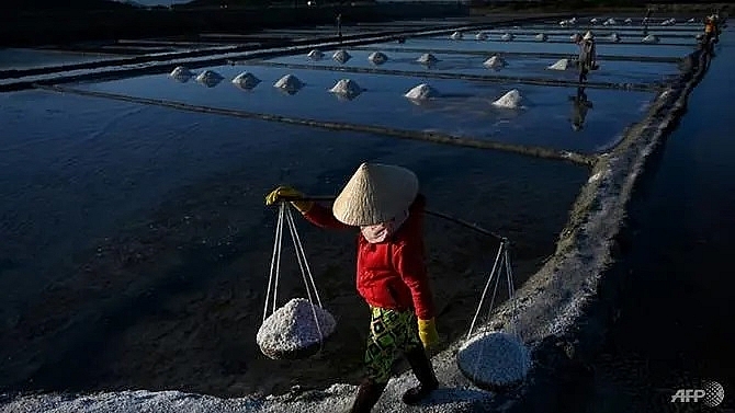 mineral misery vietnam salt farmers battered by imports climate