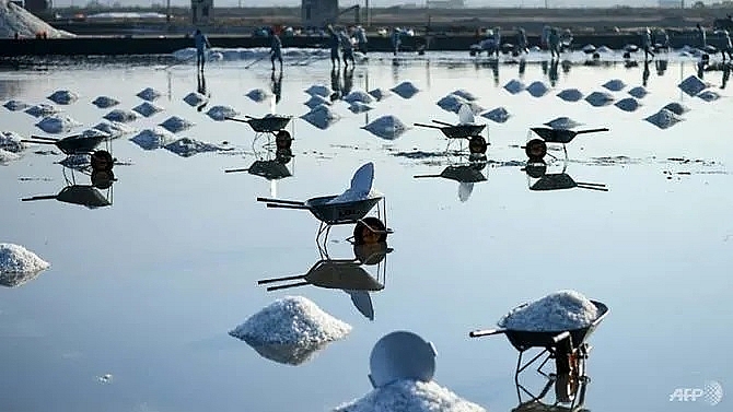 mineral misery vietnam salt farmers battered by imports climate