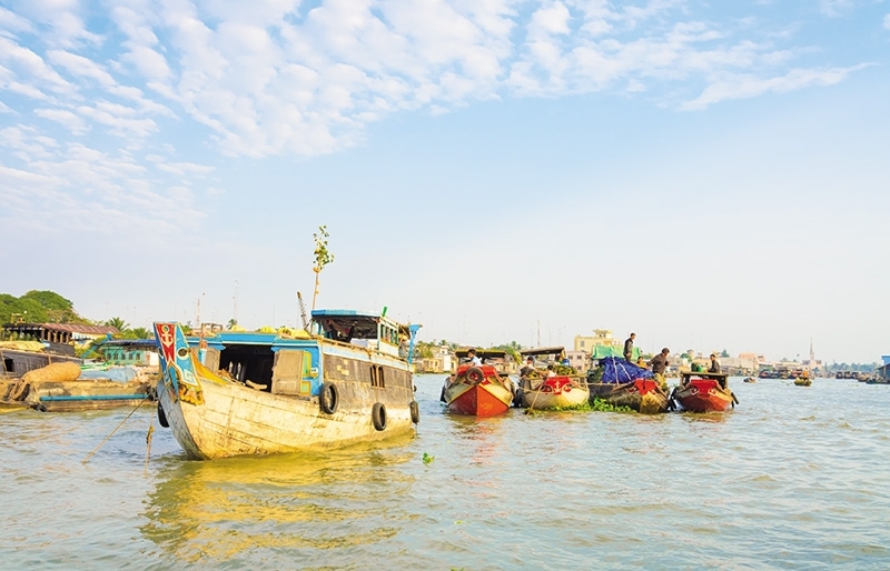 adapting the mekong delta for a green future