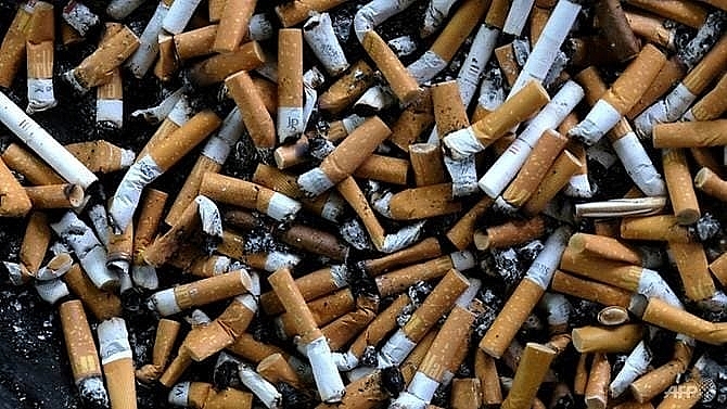 who decries big tobacco bid to rebrand world no tobacco day