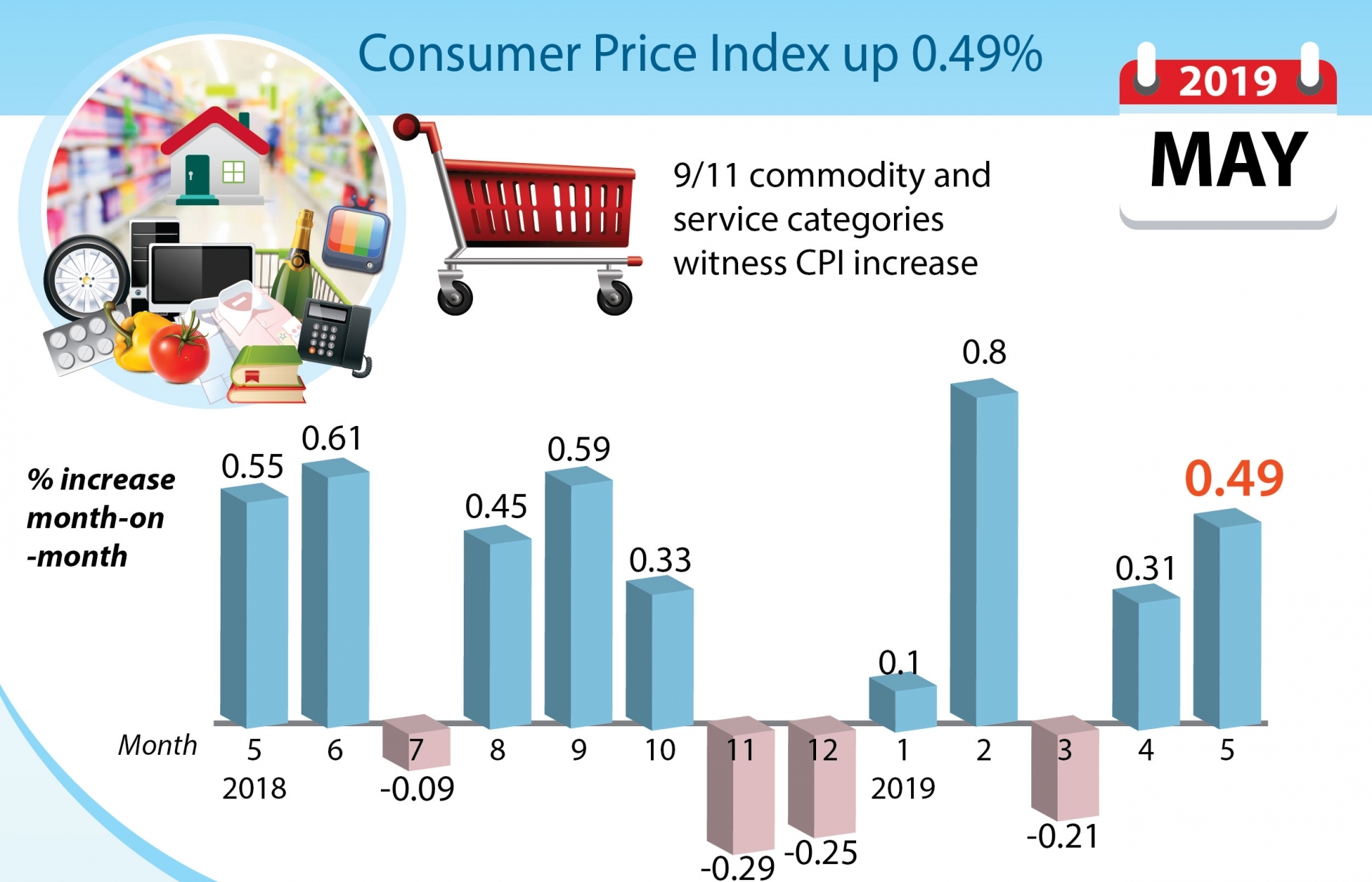 Consumer Price Index up 0.49 pc