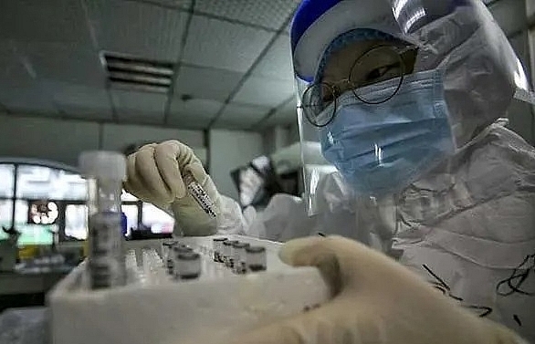 Coronavirus detected in semen of infected men: Chinese study