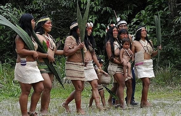First coronavirus case detected in Ecuador Amazon tribe