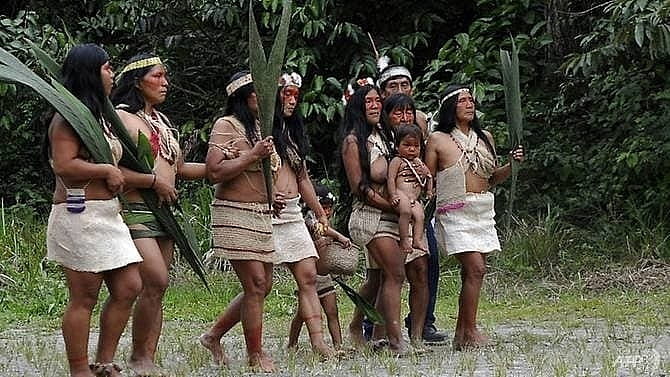 first coronavirus case detected in ecuador amazon tribe