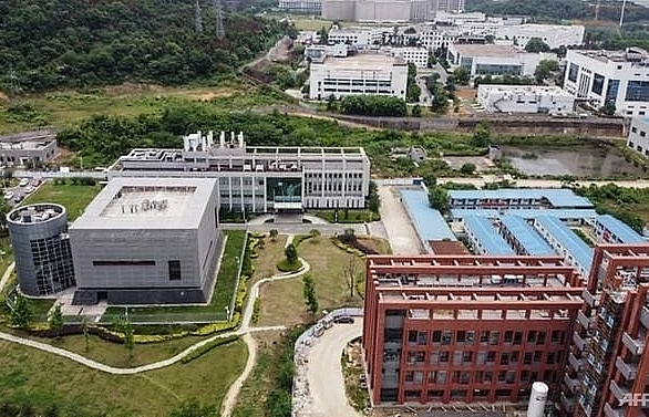 Wuhan lab had three live bat coronaviruses: Chinese state media