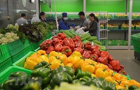 US becomes Vietnam’s largest supplier of fruits, vegetables