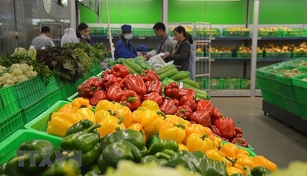 us becomes vietnams largest supplier of fruits vegetables