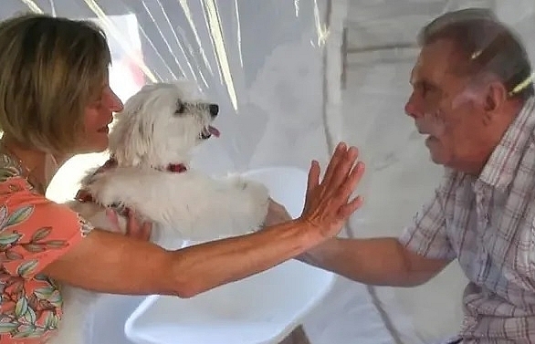 plastic bubble brings joy to french nursing home amid covid 19 lockdown