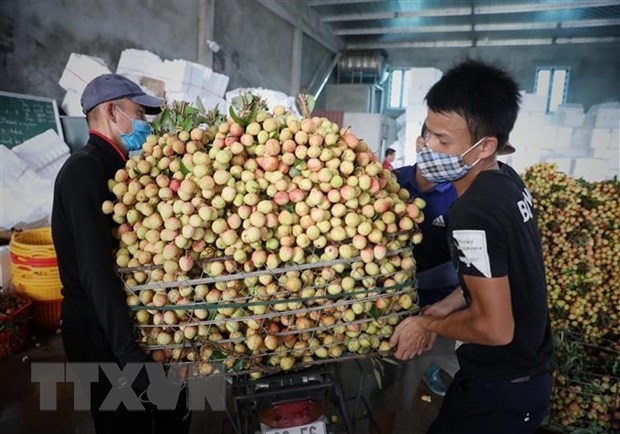 pm orders removing difficulties in farm produce consumption for bac giang
