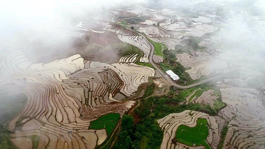 y ty rice terraces in pouring water season photos