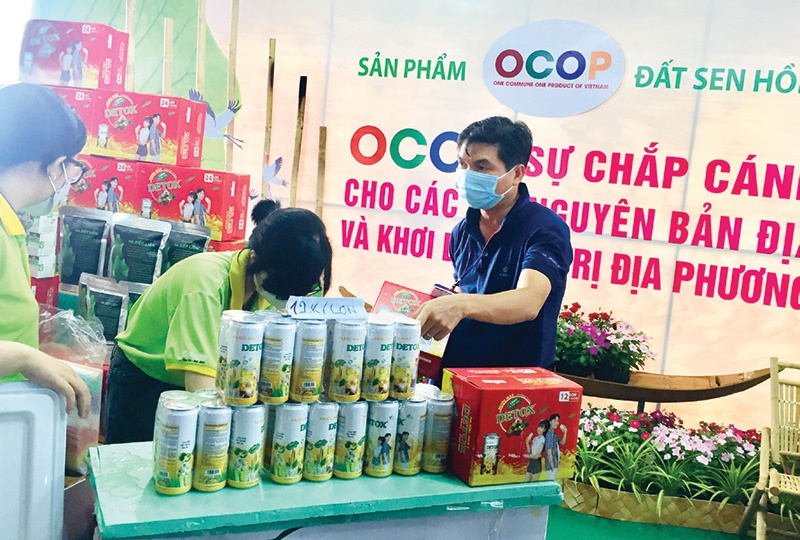 Agricultural connectivity bolstered in Dong Thap province