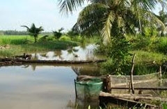 Mekong needs bio-diversity preservation