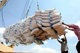 Consortium to buy up surplus rice