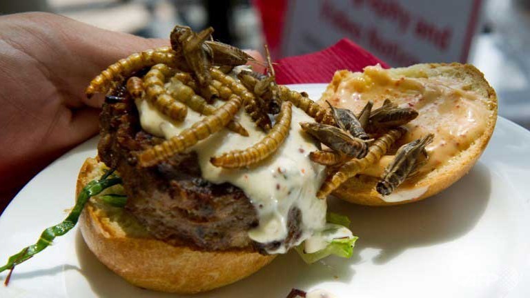 adventures in dining scorpion lollipops grasshopper burgers
