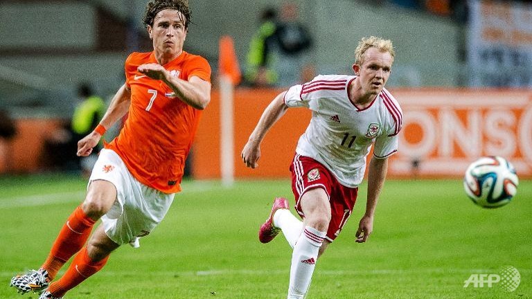 van persies injury scare taints dutch win