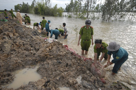 climate change takes its toll on tien giang dykes