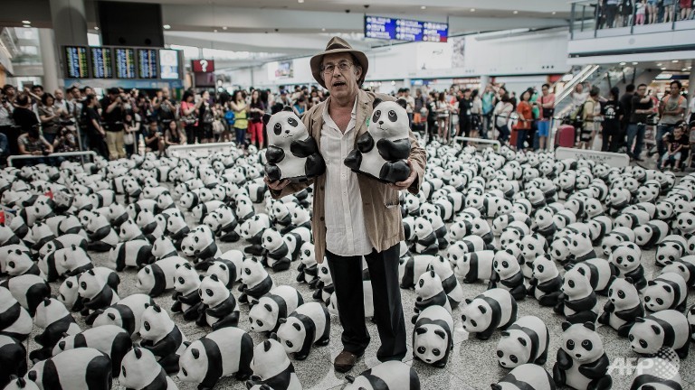 paper mache pandas land in hong kong