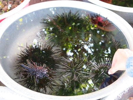 Bãi Làng là nơi tập trung nhiều dân cư nhất trên đảo