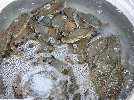 Bãi Làng là nơi tập trung nhiều dân cư nhất trên đảo