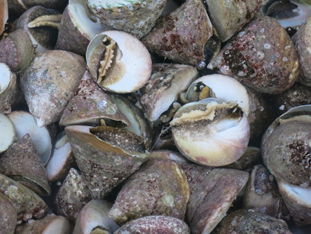 Bãi Làng là nơi tập trung nhiều dân cư nhất trên đảo