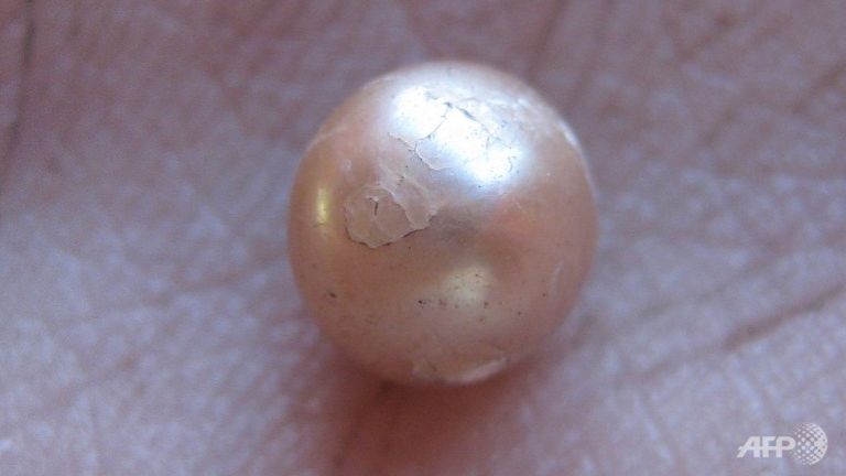 2000 year old natural pearl found at remote australian site