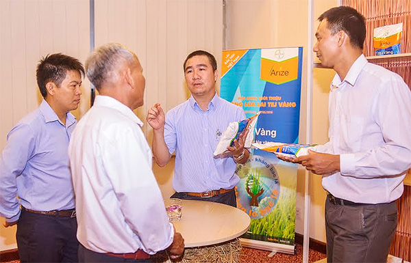 bayer offers vietnamese farmers a revolutionary solution against bacterial leaf blight disease