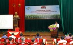 Dekalb Vietnam wraps up successful pilot of agricultural production cooperation model