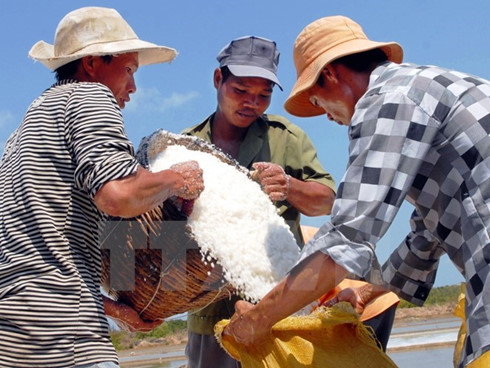 ben tre province asks government to help salt farmers