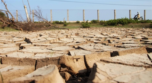 mekong delta drought losses total 215m